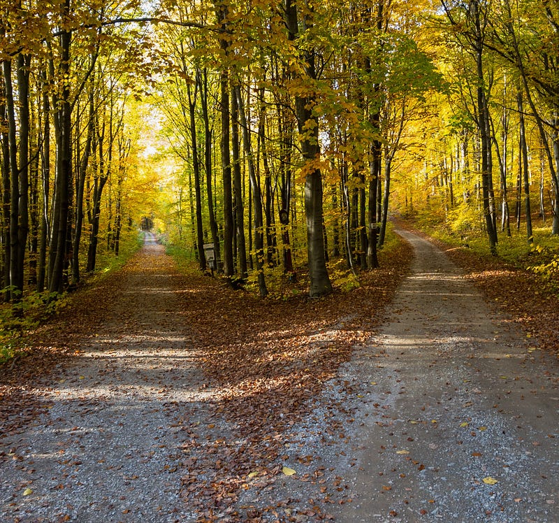 Navigating Your Annuity Choices: The Main Difference Between Immediate and Deferred Annuities…