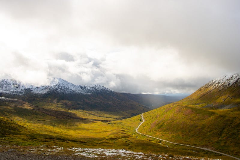 Period Certain Annuity vs. Lifetime Annuity: Which is Right for You?