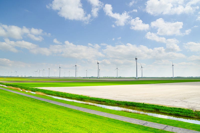 Renewable Term Life Insurance: Is It the Right Choice for You?