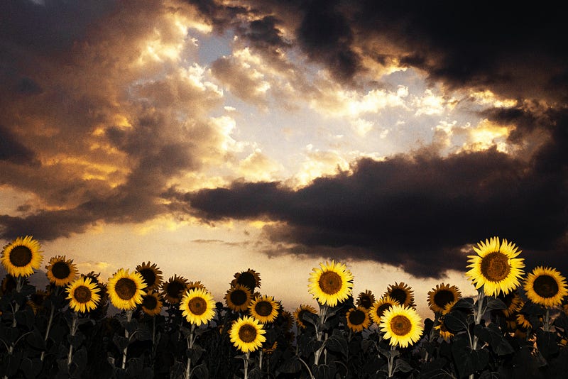 Term Life Insurance Maturity: Making the Most of Your Policy’s Endgame