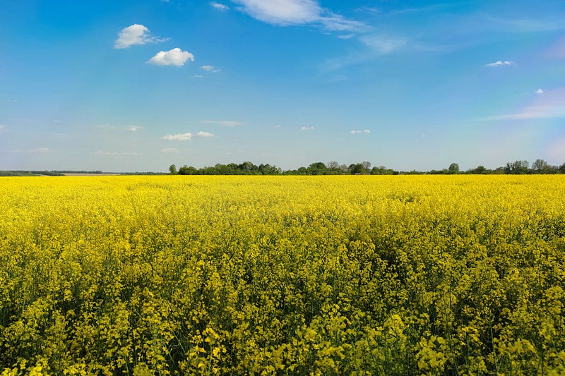 Planning Ahead: The Strategic Advantages of Choosing a 30-Year Term Life Insurance