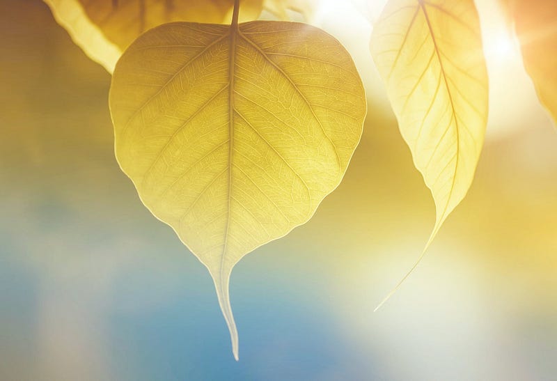 Can You Keep Contributing to Your 401(k) While on Disability? Unveiling the Truth