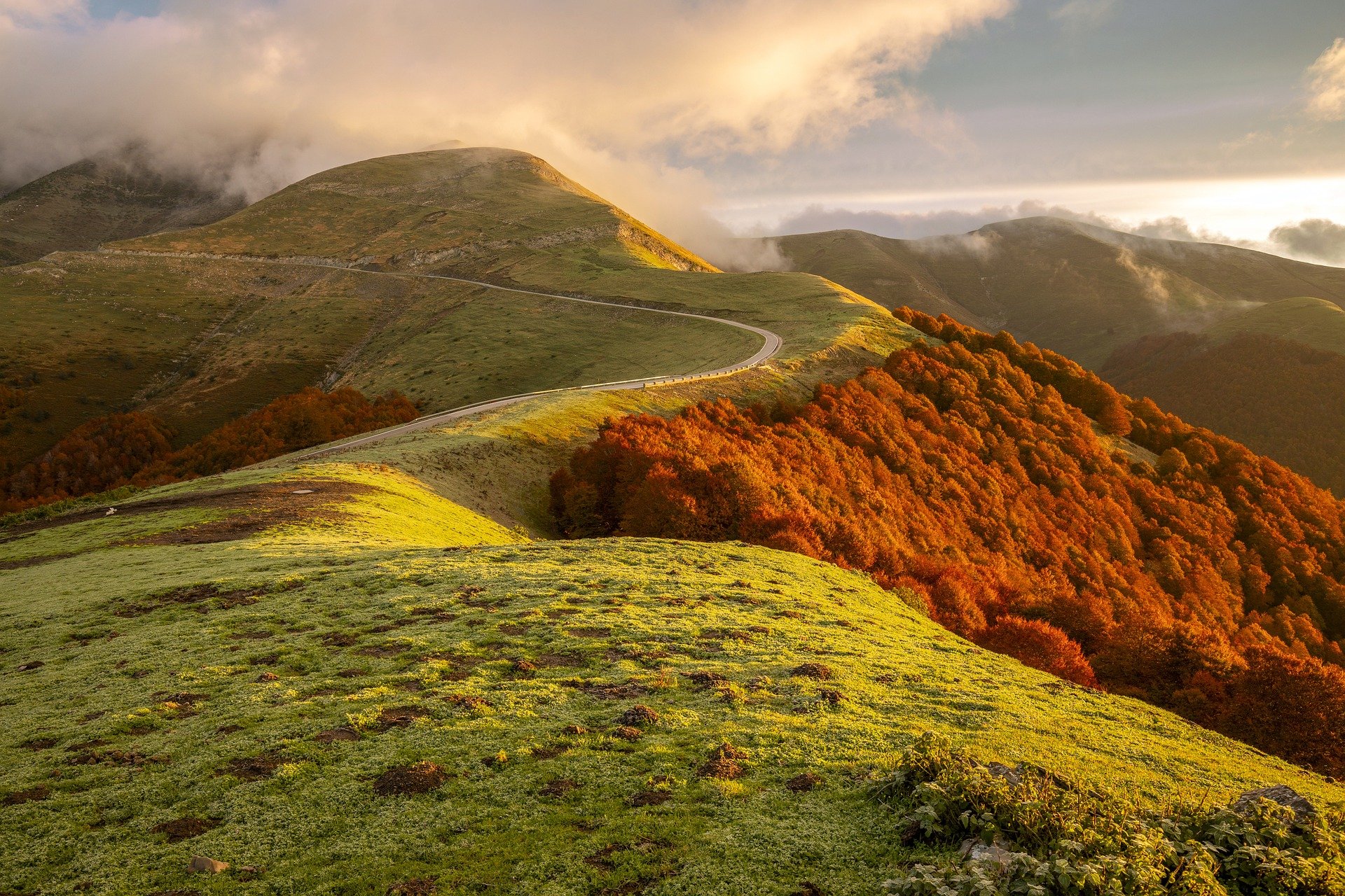 The Critical Difference Between Medicare and Medicaid for Seniors