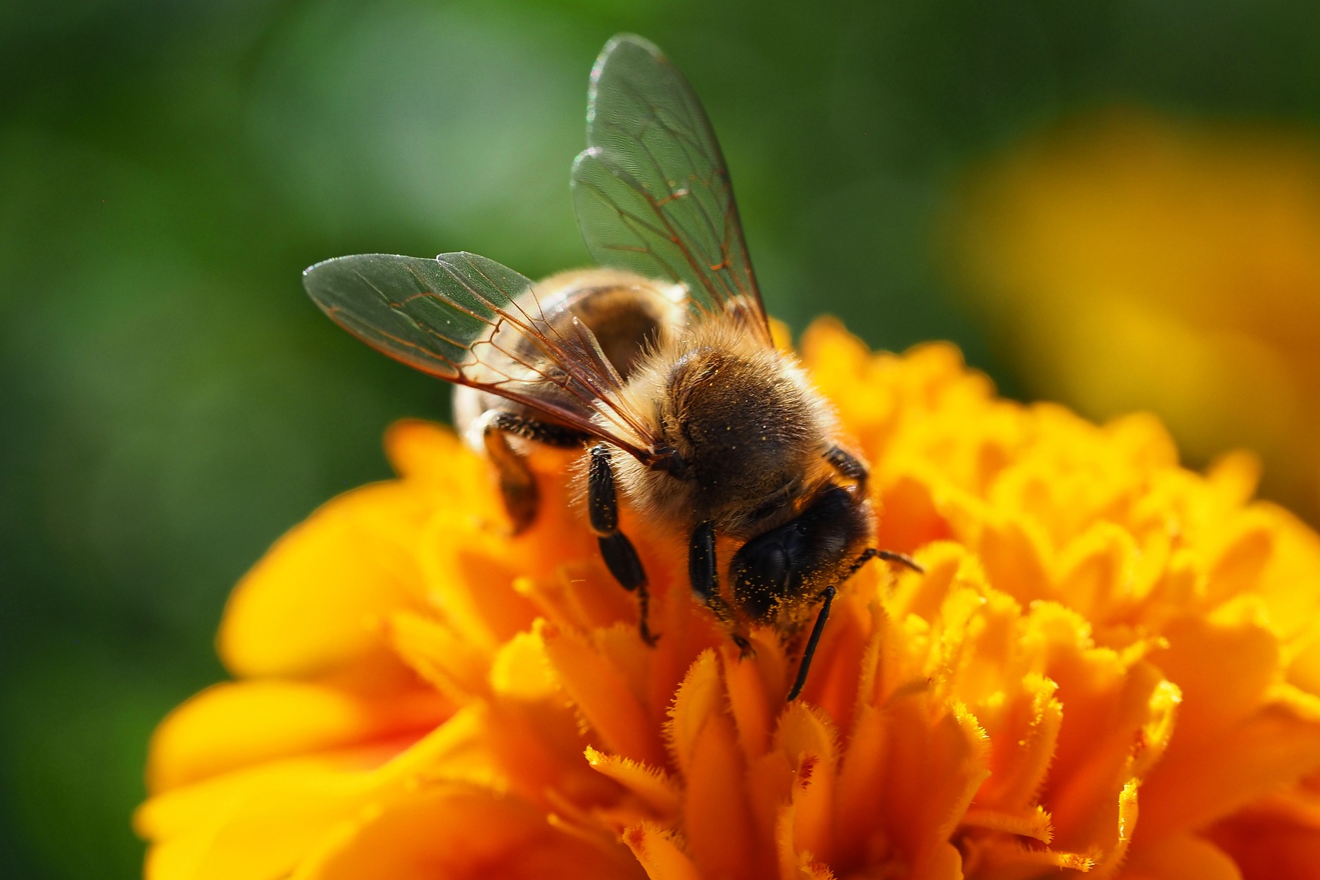 Medicaid Exemptions: Protecting What Matters Most in Retirement