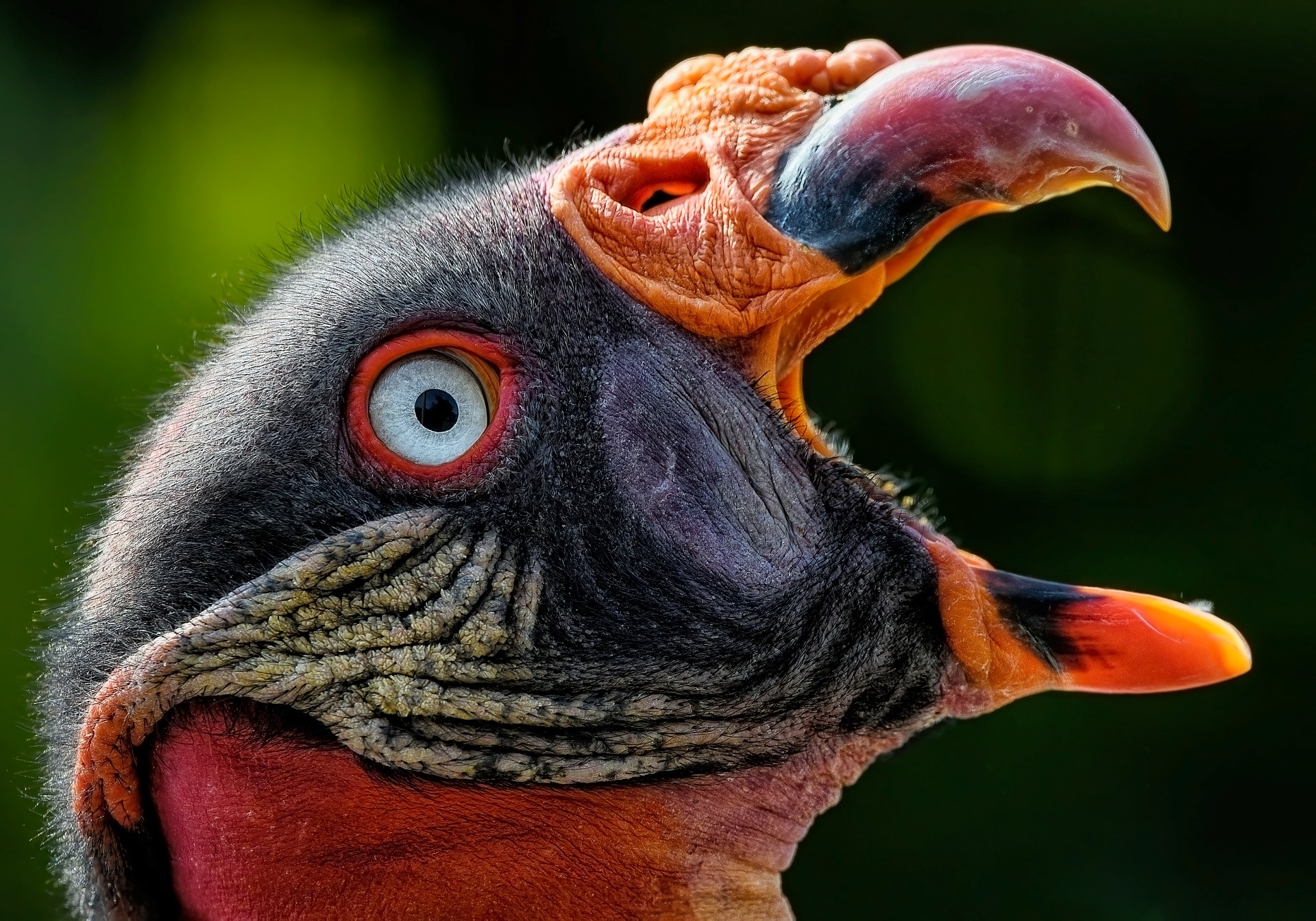 Medicaid Eligibility in 2025: What’s New and What’s Changed