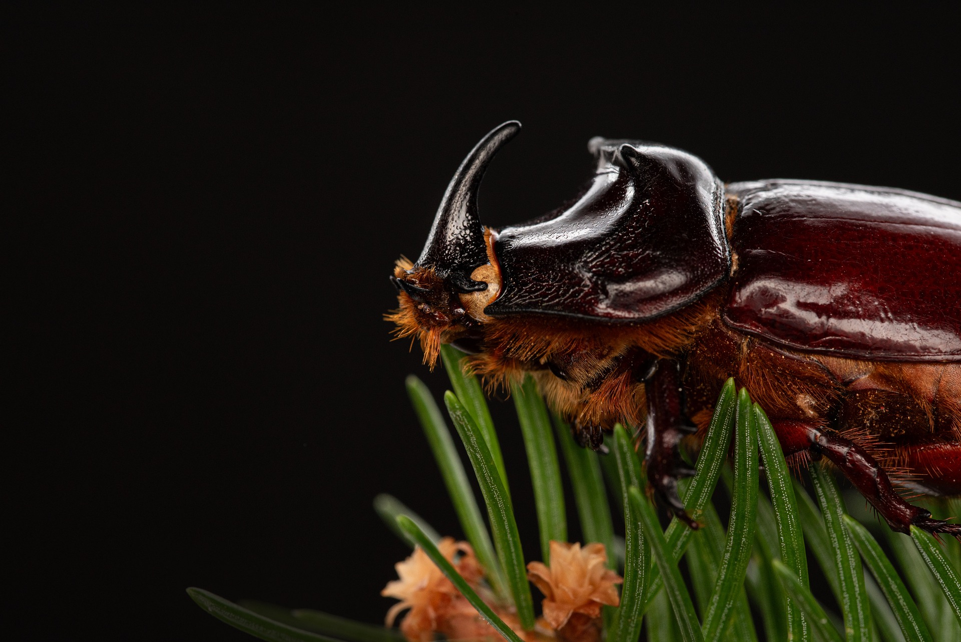 How Medicare’s Income-Based Premiums Could Impact You