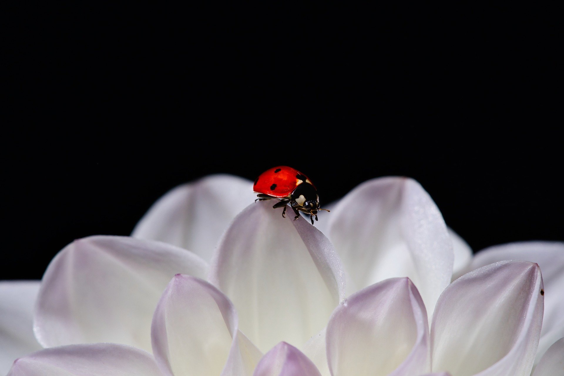 Understanding the Social Security Earnings Test for Early Retirees