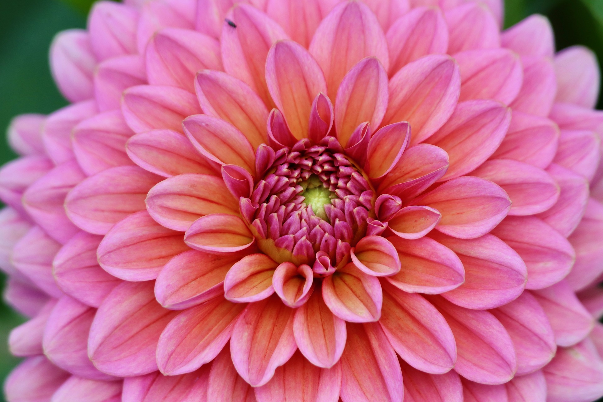 What Every Pension Holder Should Know About ERISA Protections