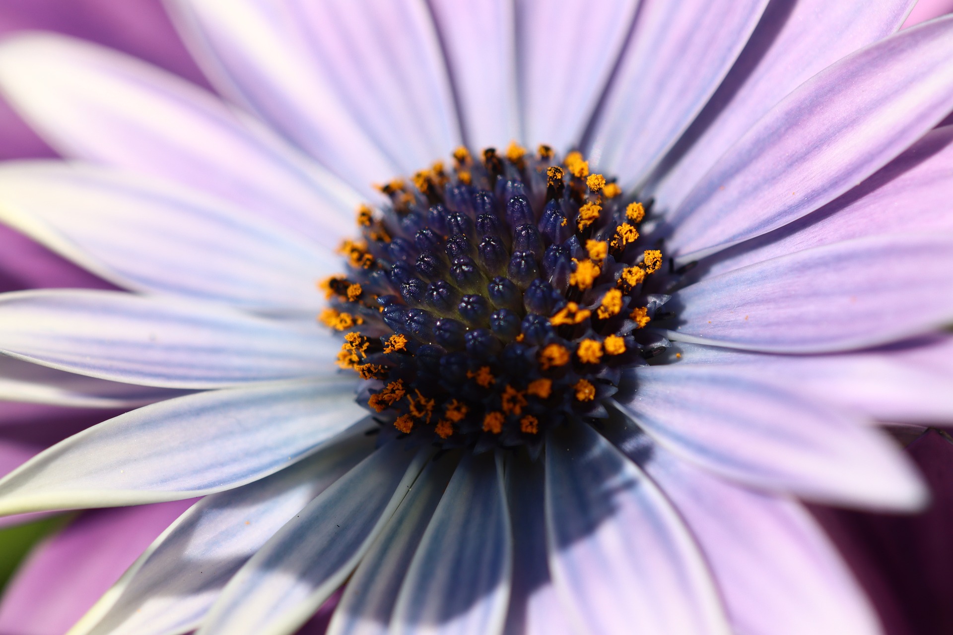 The Future of Social Security: Can You Really Rely On It?