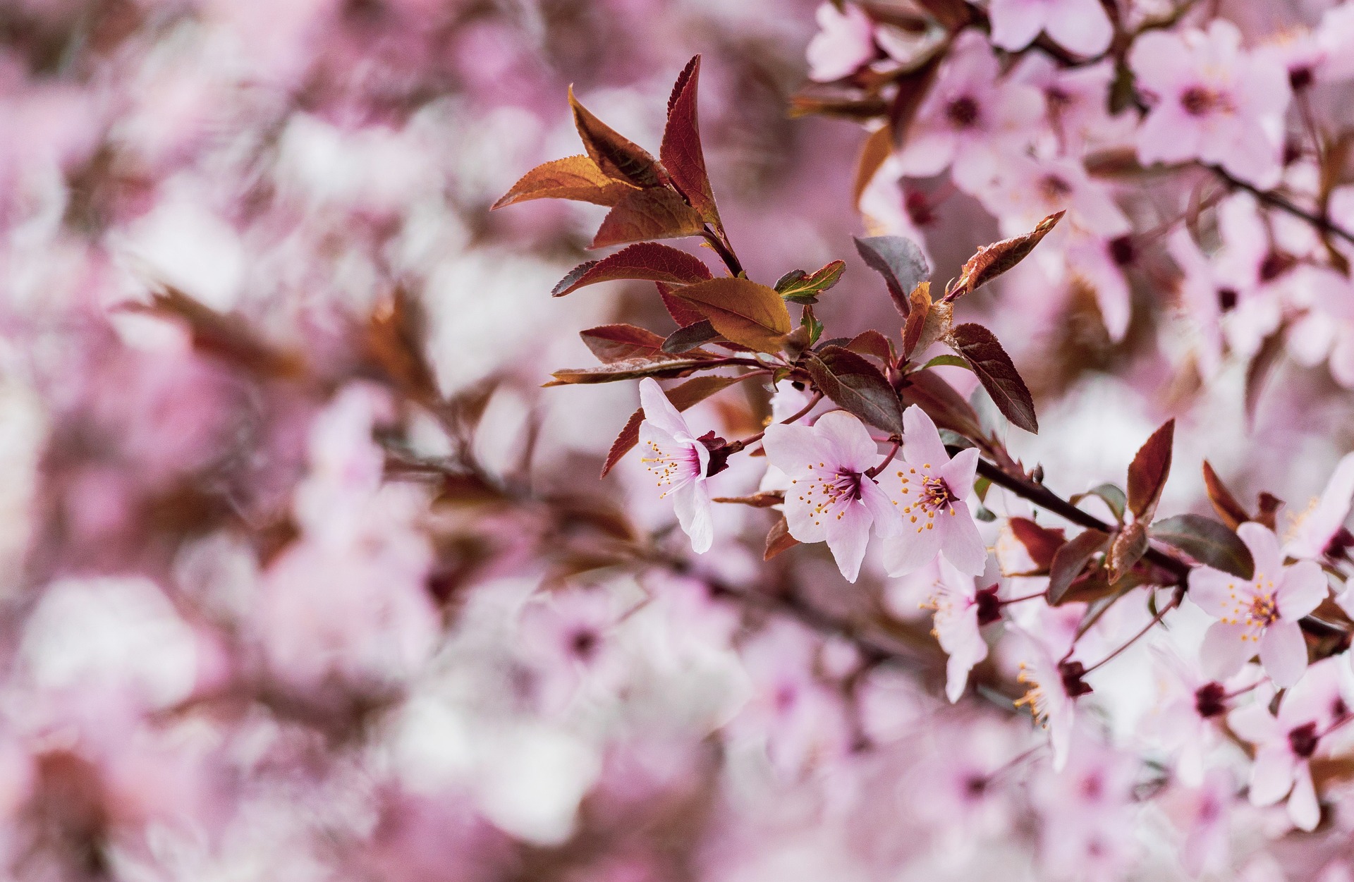 How to Navigate the Probate Process with Ease