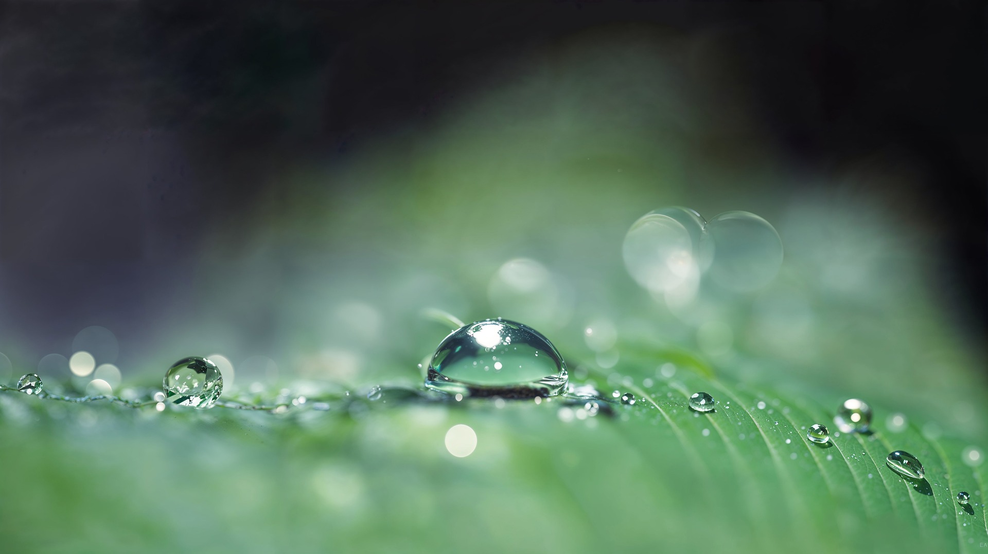 Why Many Retirees Are Choosing Lump-Sum Pension Payouts