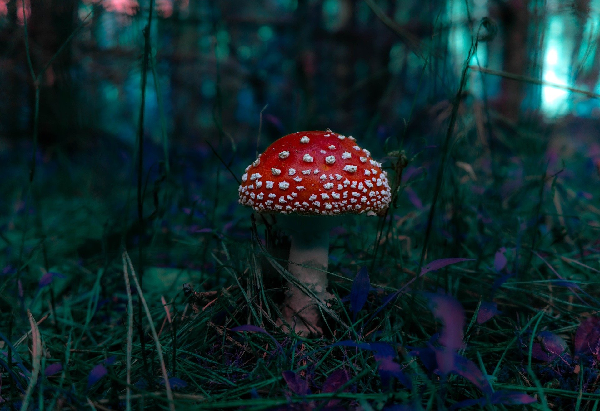 Medicaid for Couples: Protecting Your Spouse in Retirement