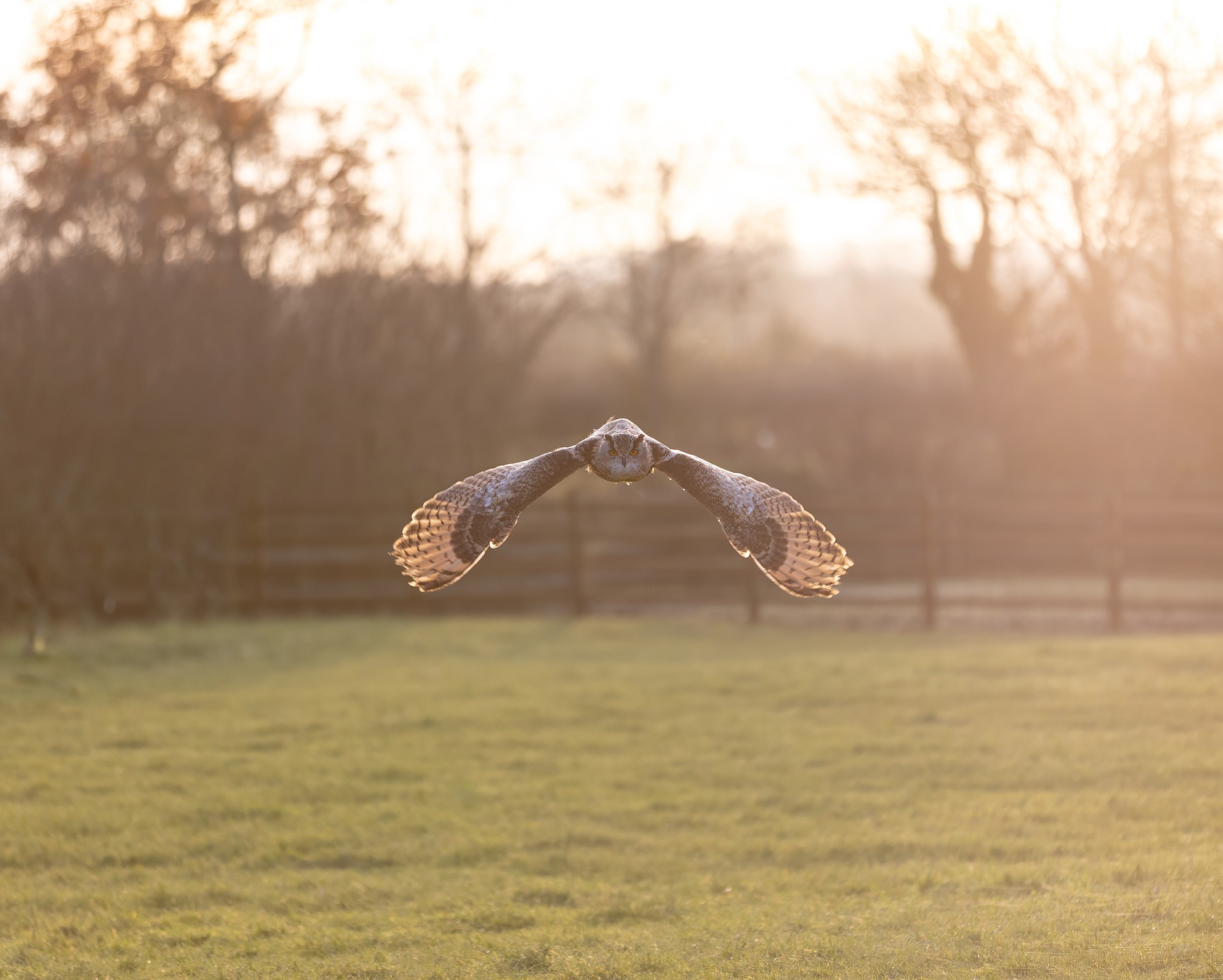 Why Some Retirees Choose to Decline Pension Benefits