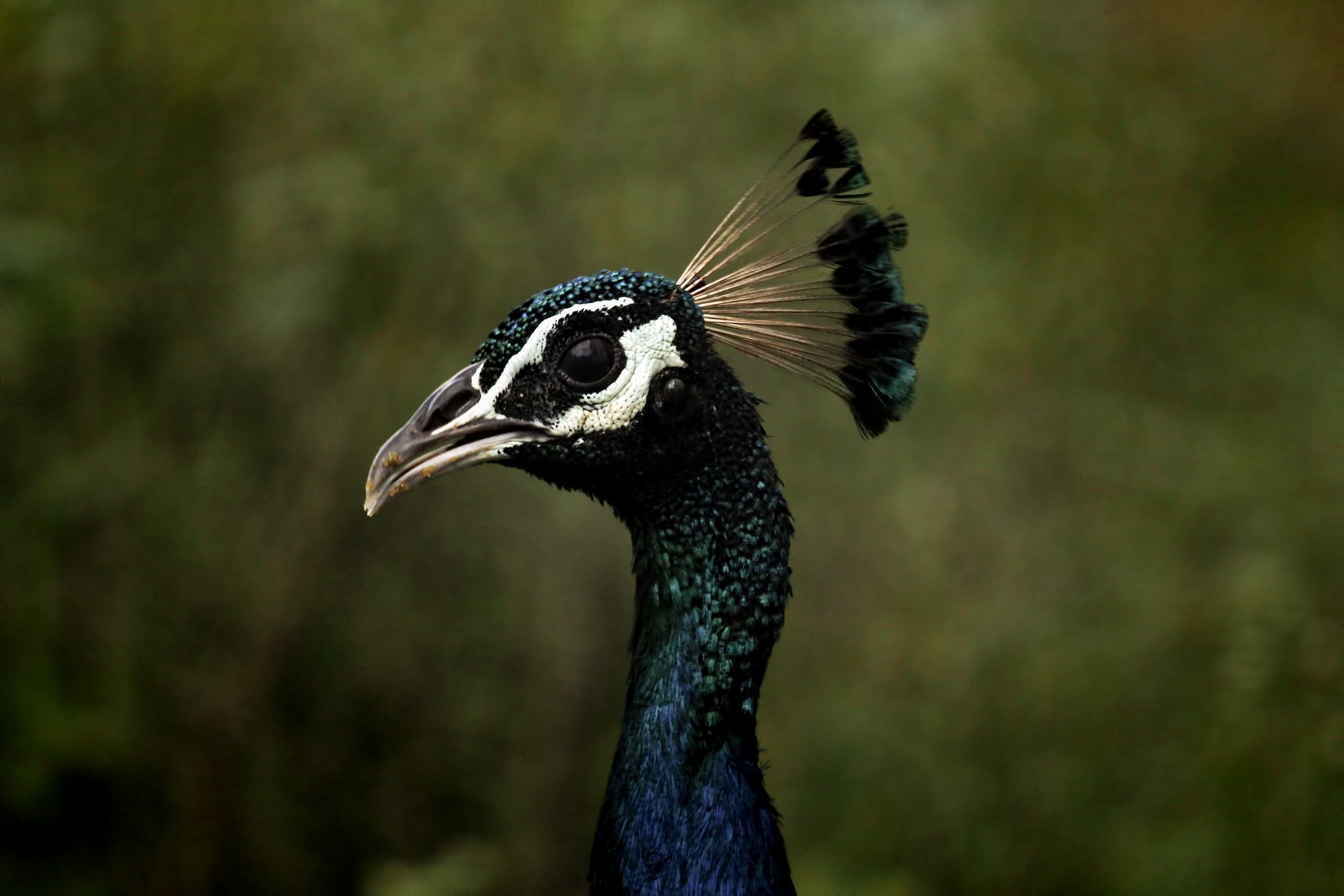 Can Your Pension Keep Up with Inflation? Here’s What You Need to Know