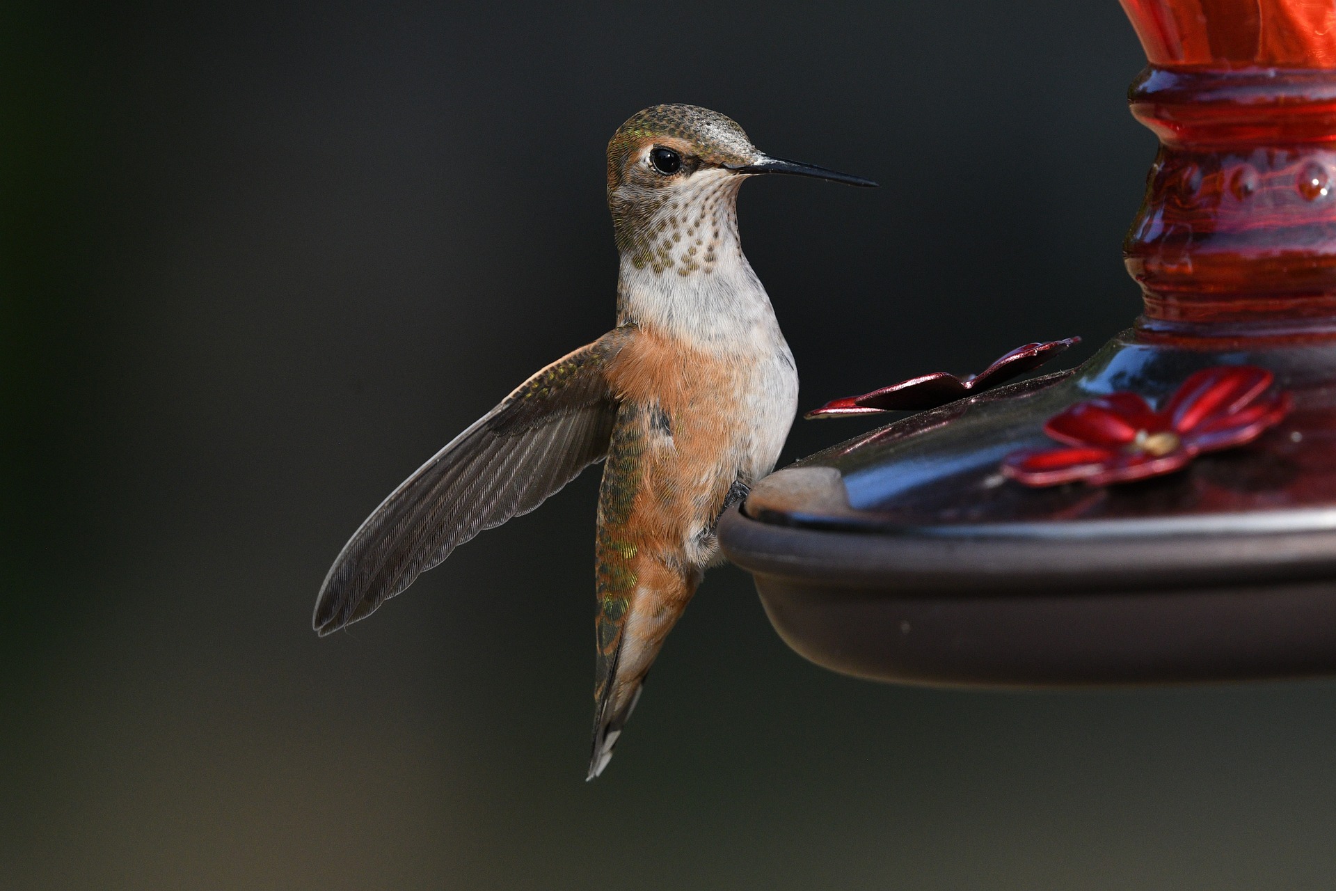 Medicaid Eligibility Rules Are Changing: Are You Prepared?