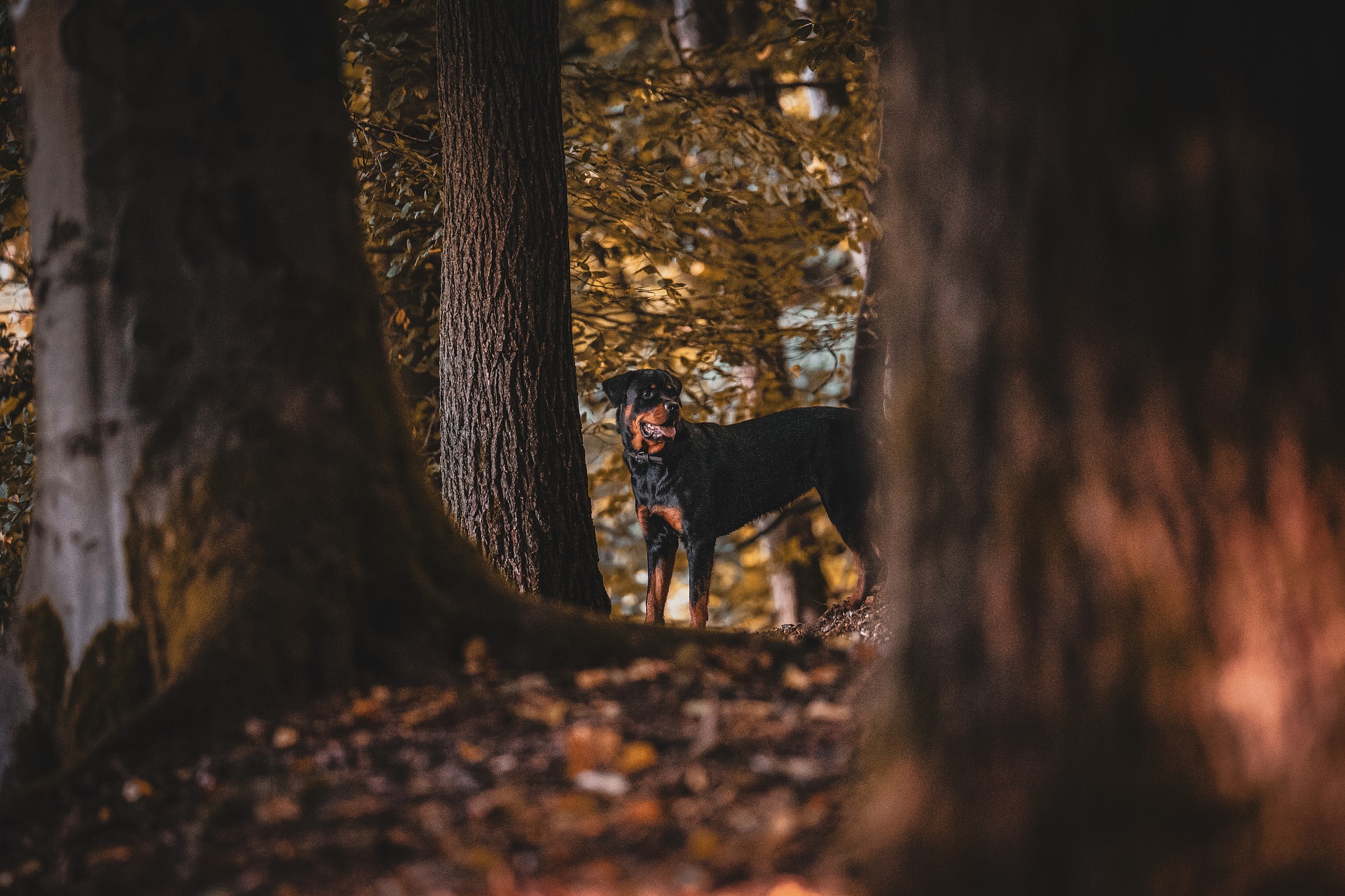 Why Every Self-Employed Retiree Needs to Rethink Social Security