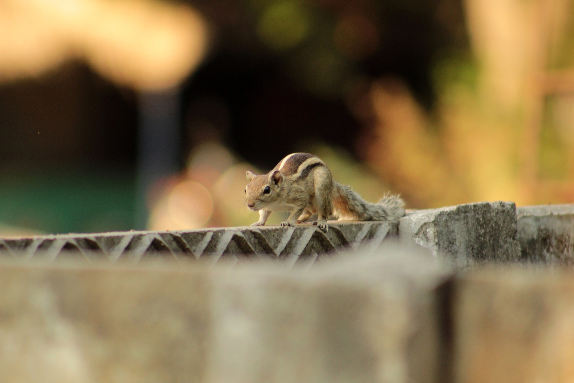 Medicaid Planning: 10 Things You Need to Know Before Retiring