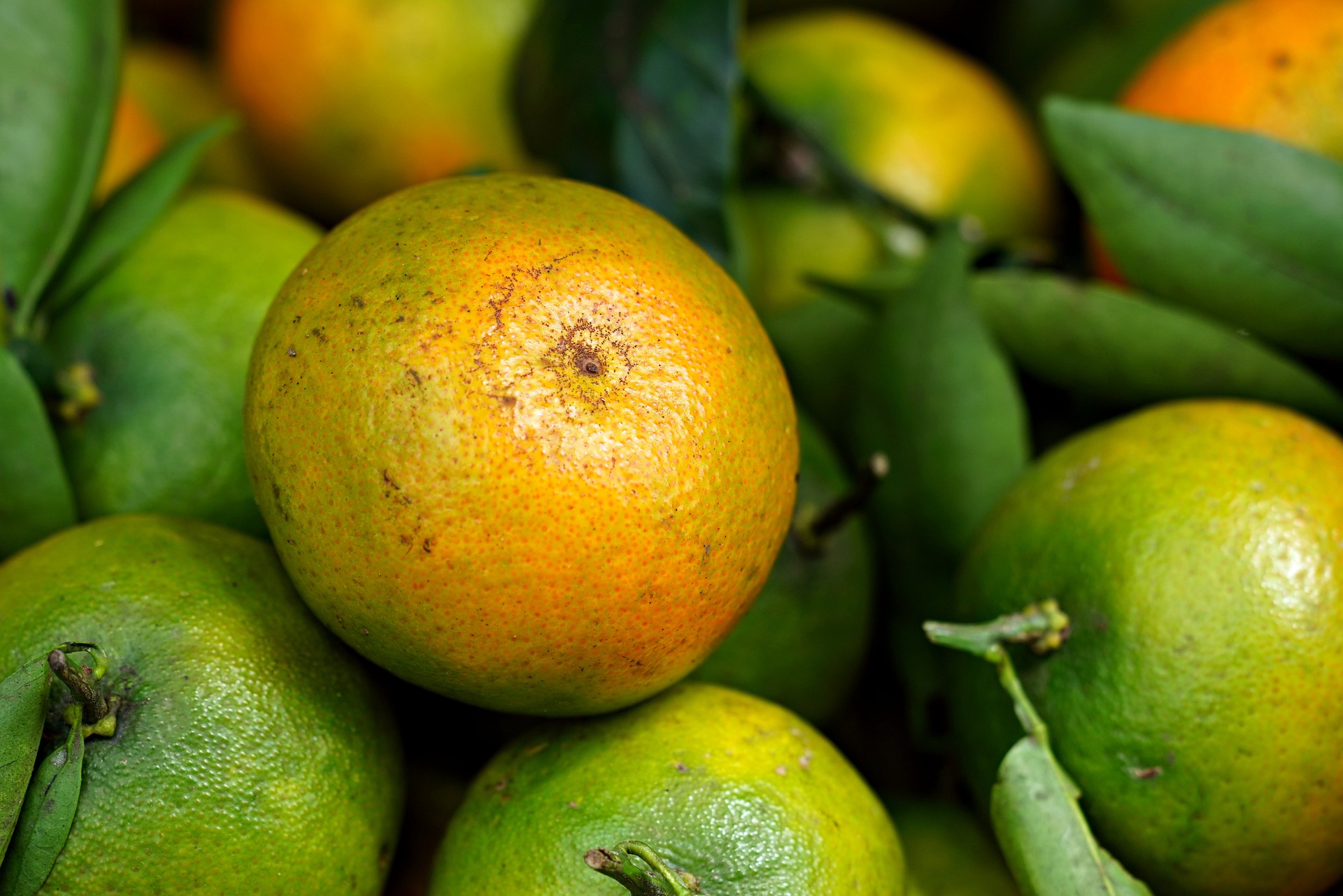 How to Handle Probate for an Out-of-State Property