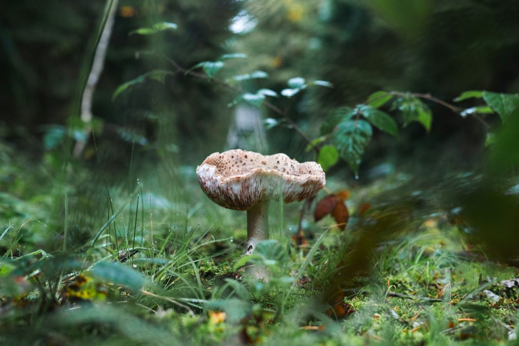Beach retirement scene