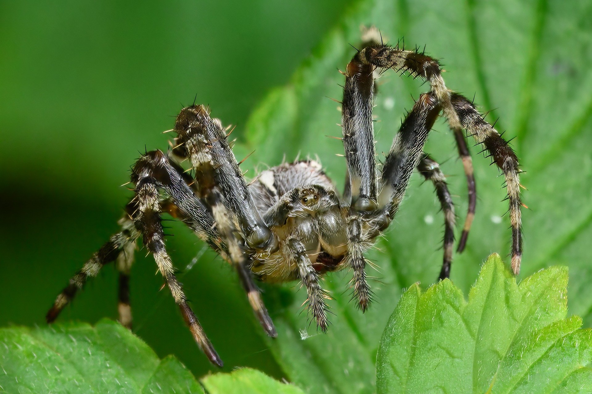 Free Dinner Seminars: How to Recognize and Avoid Investment Fraud Targeting Seniors