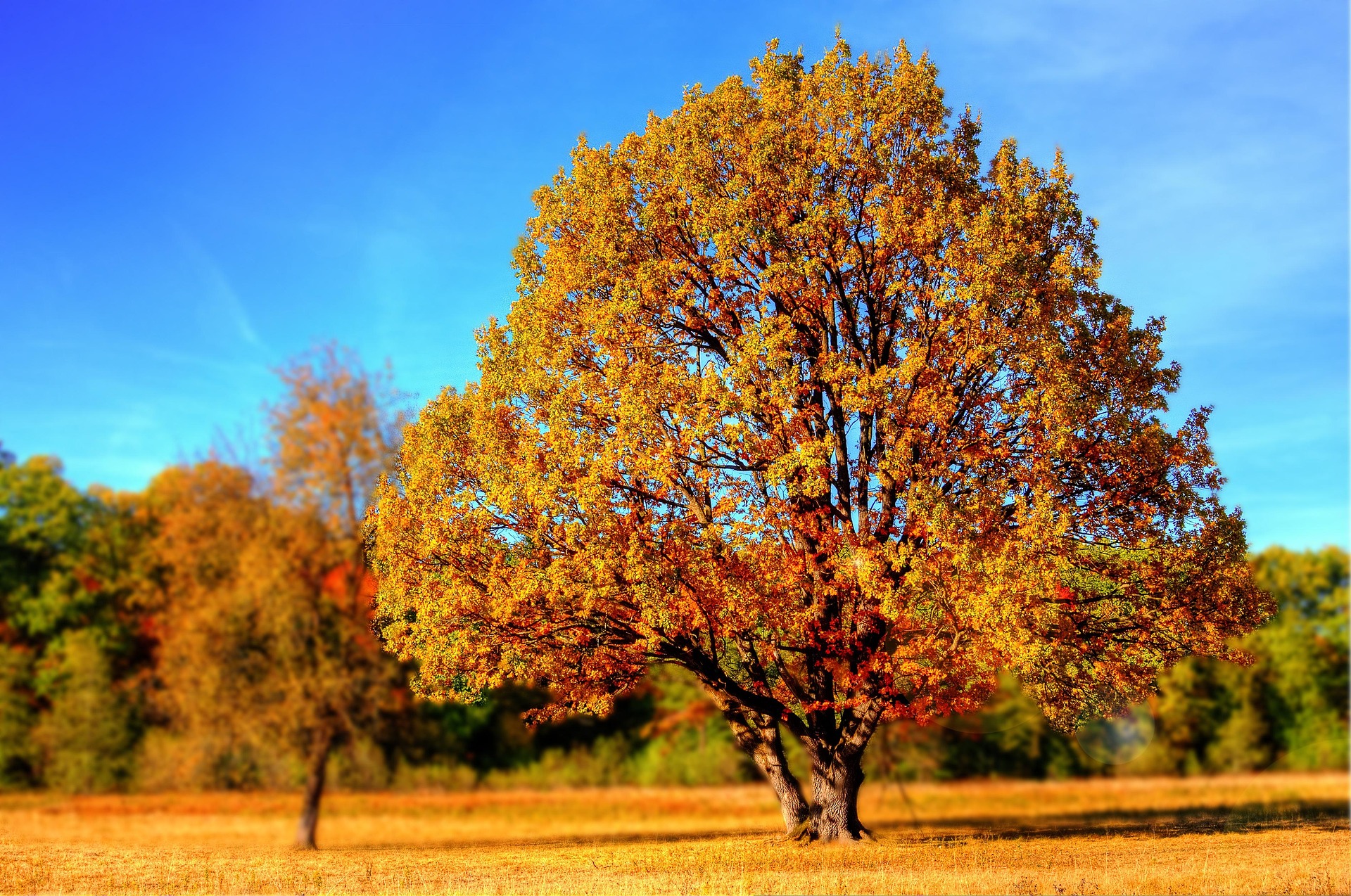 Traditional IRA vs. Roth IRA: Which One Makes More Sense When You’re 10 Years From Retirement?