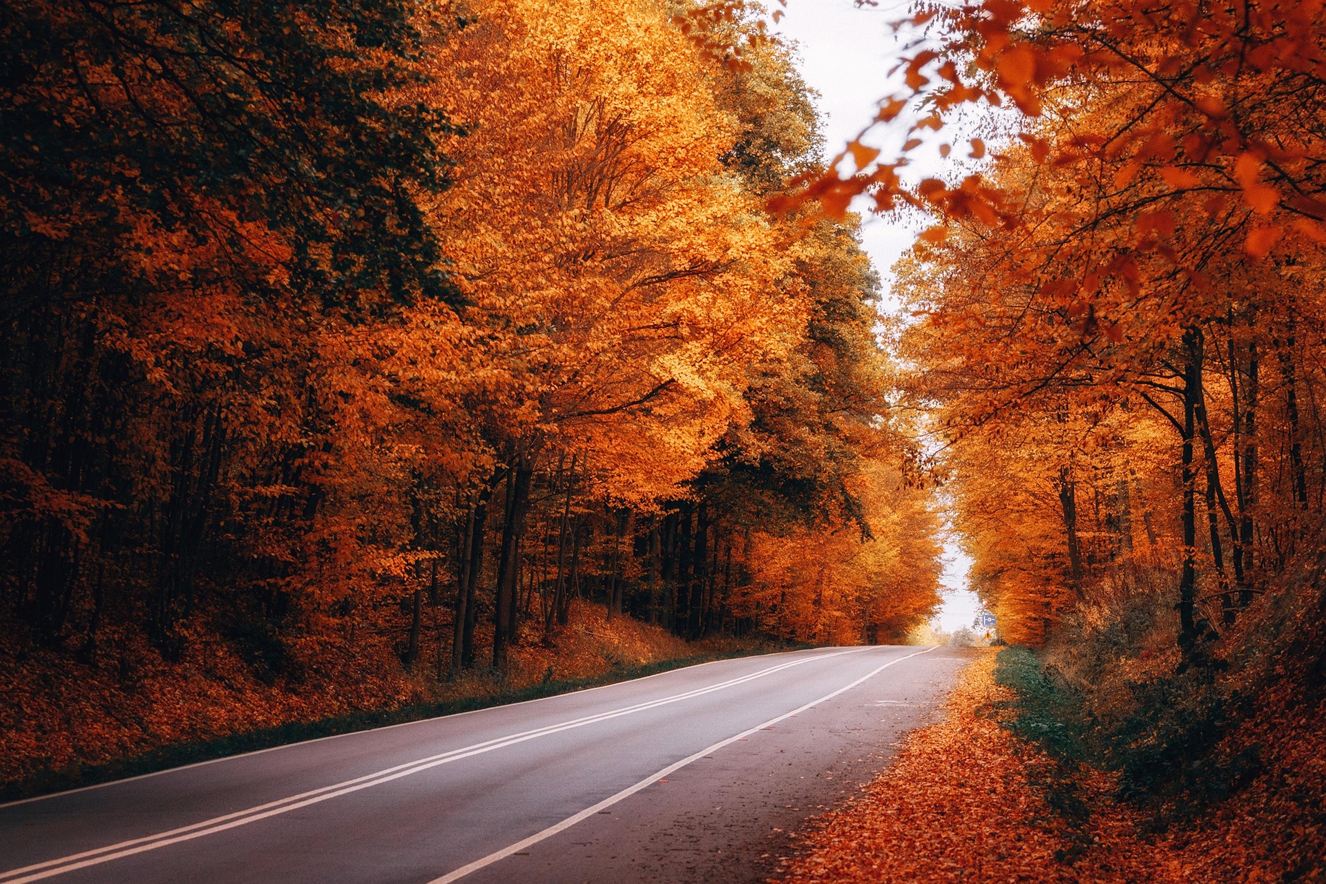 When Annuity Sales Cross the Line: Understanding Suitability and Protecting Your Retirement Nest Egg