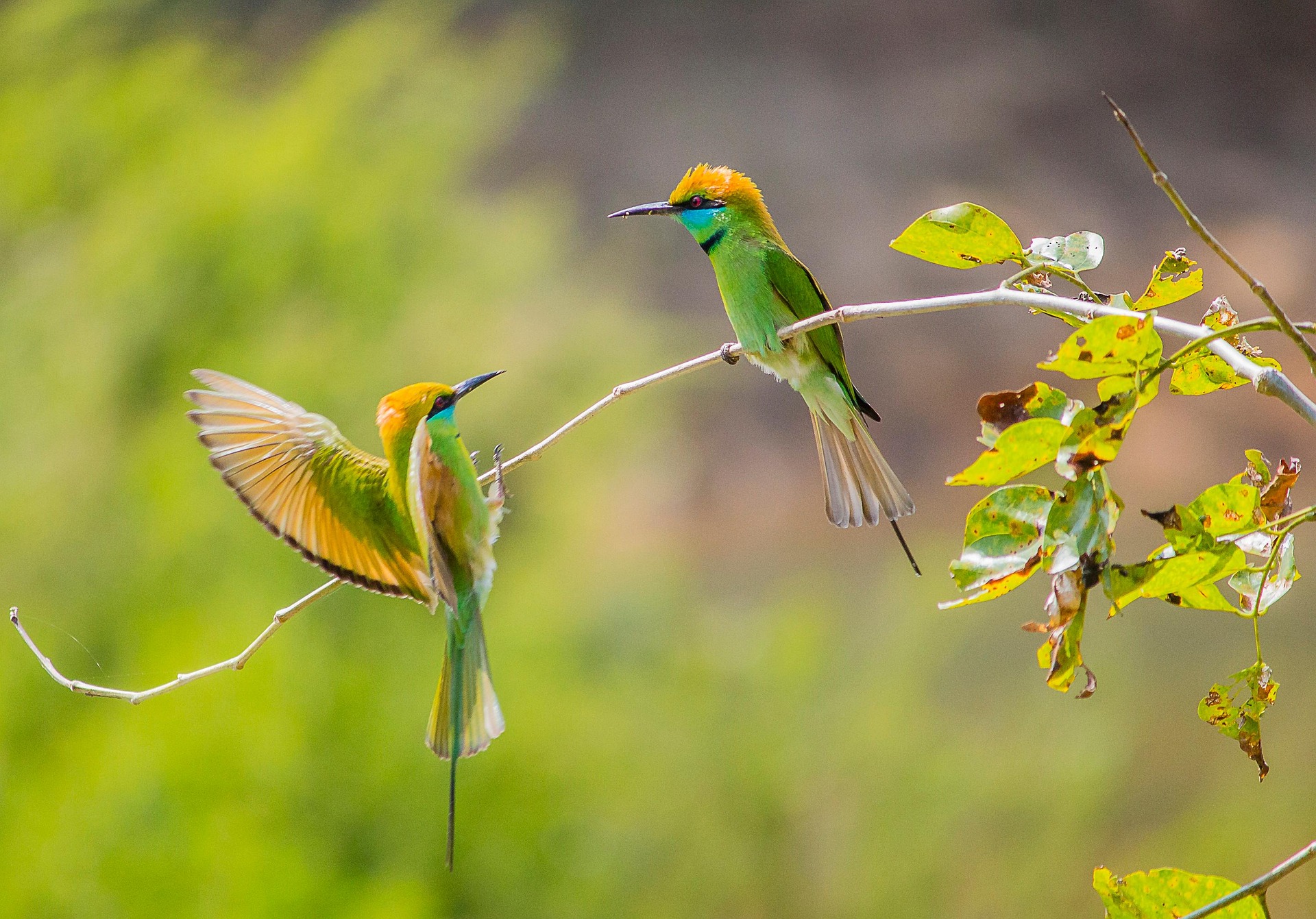 Annuities Are Not Piggy Banks: Understanding the Predetermined Flow of Retirement Income in 2026