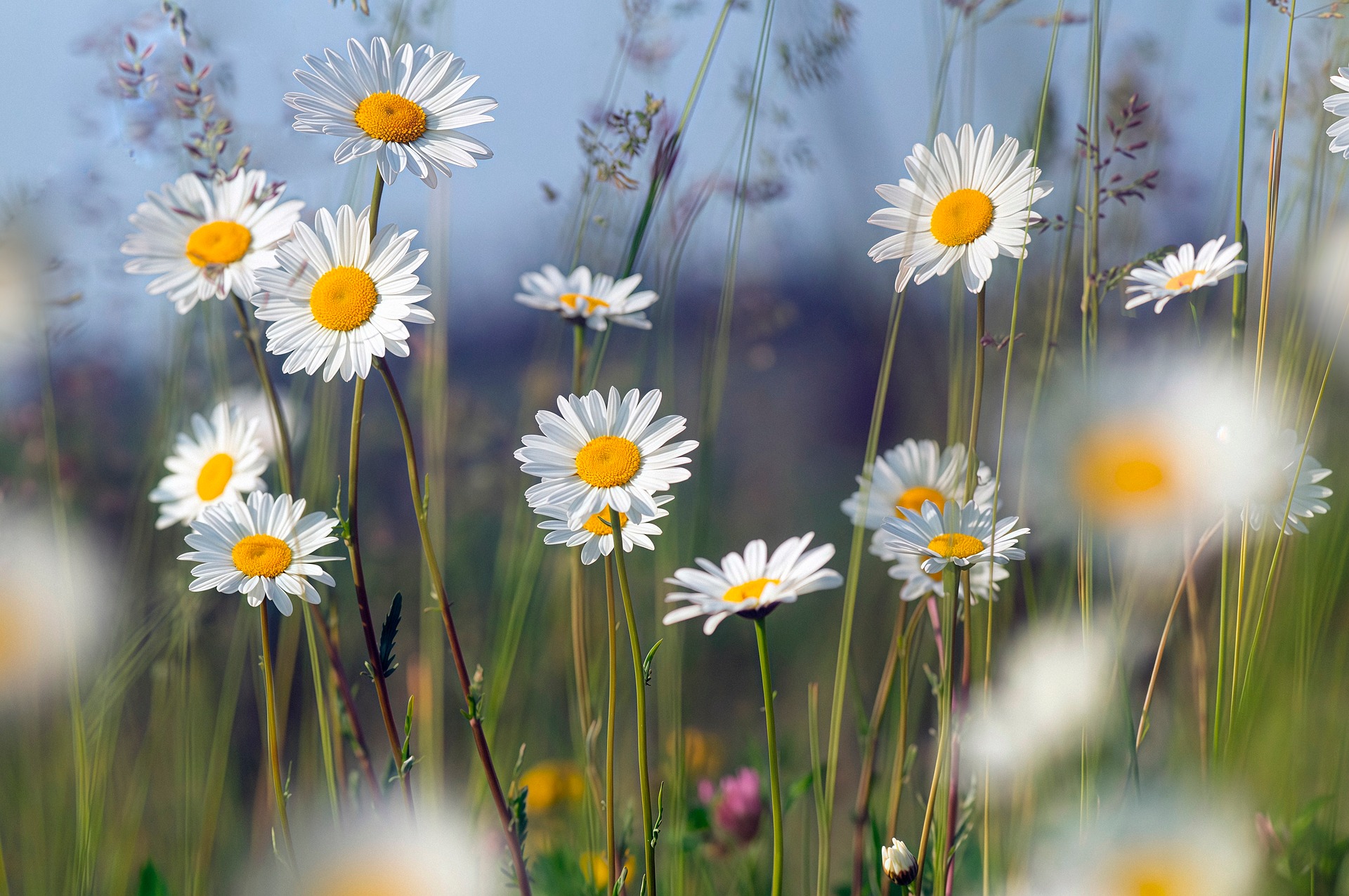 Backtested Hypothetical Returns Using Newly Created Proprietary Indexes: Understanding Regulatory Protections for Retirement Investors