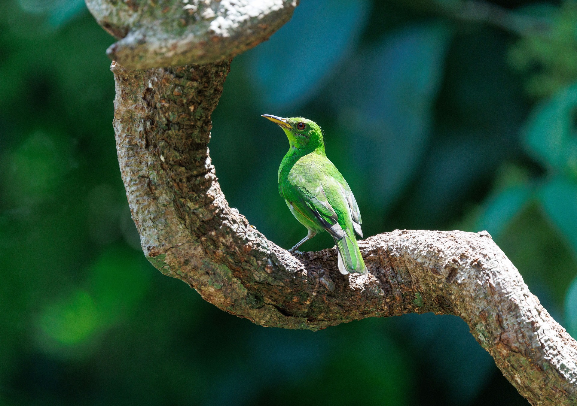 Understanding Annuity Contracts: Breaking Down the Complexity Myth in 2026